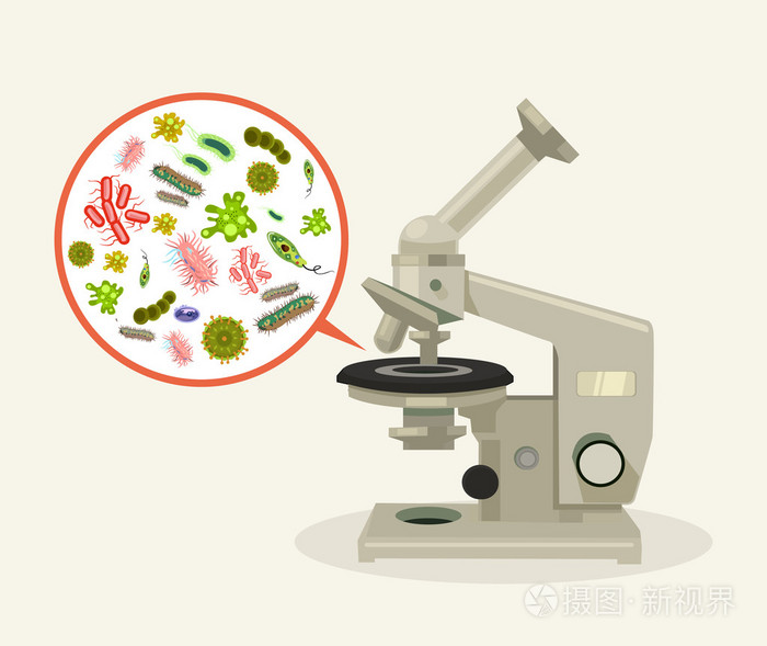 顯微鏡下的微生物 矢量平面卡通插畫中的生物世界