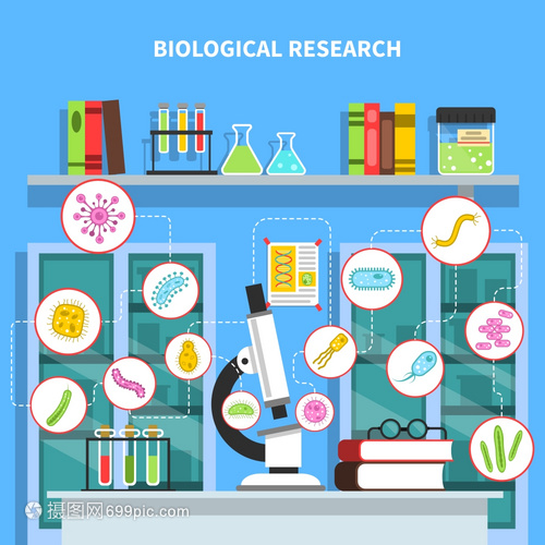 微生物學插圖 探秘微生物實驗室與細菌研究設備的矢量世界