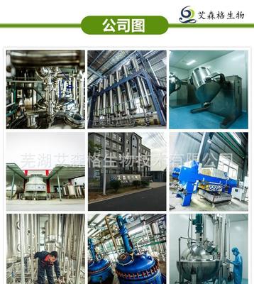 探索人參皂苷20% 源自專業植提廠家的高品質人參提取物